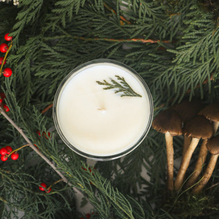 AURATAE Soy Candle, Signature Collection, Forest