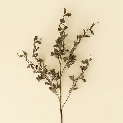 Smoked Eucalyptus Stems, 36"