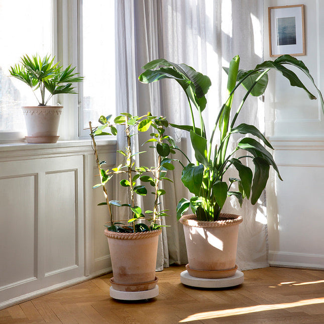 BERGS POTTER Emilia Clay Pots w/Tray