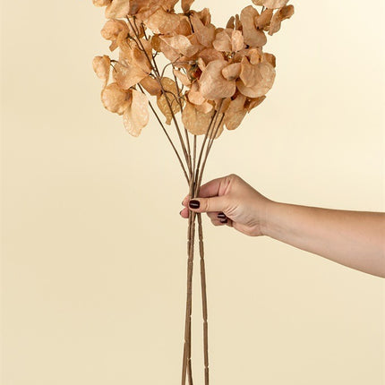 Terra Cotta Sweet Pea Floral Stem, 24"