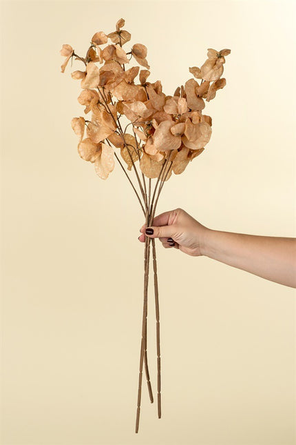 Terra Cotta Sweet Pea Floral Stem, 24"