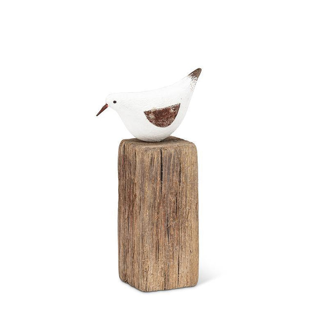 Shoreline Birds