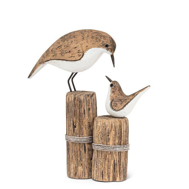 Shoreline Birds