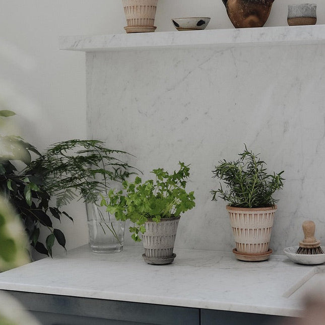 BERGS POTTER Pantheon Clay Pots w/Tray