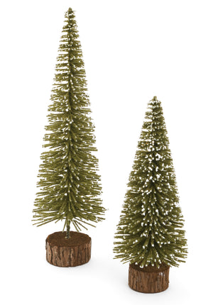 Snow-Tipped Bottle Brush Trees
