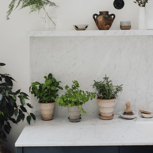 BERGS POTTER Pantheon Clay Pots w/Tray