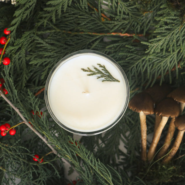 AURATAE Soy Candle, Signature Collection, Forest