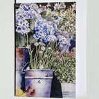 #33 Chelsea Garden Hydrangeas