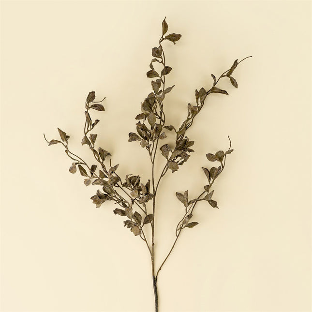 Smoked Eucalyptus Stems, 36"