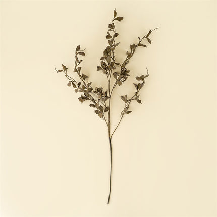 Smoked Eucalyptus Stems, 36"