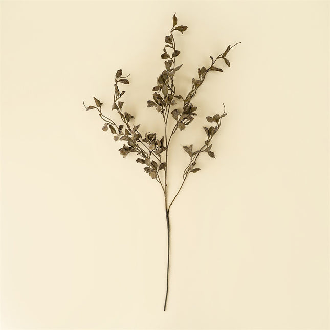 Smoked Eucalyptus Stems, 36"