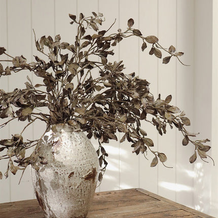 Smoked Eucalyptus Stems, 36"