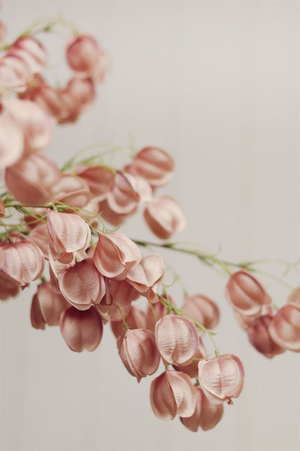 Pink Lantern Flower Stem, 34"