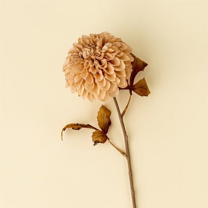 Cream PomPom Dahlia Stem