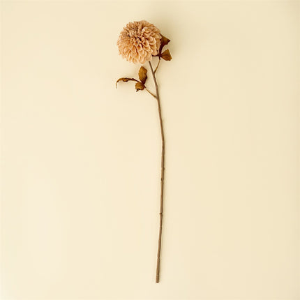 Cream PomPom Dahlia Stem