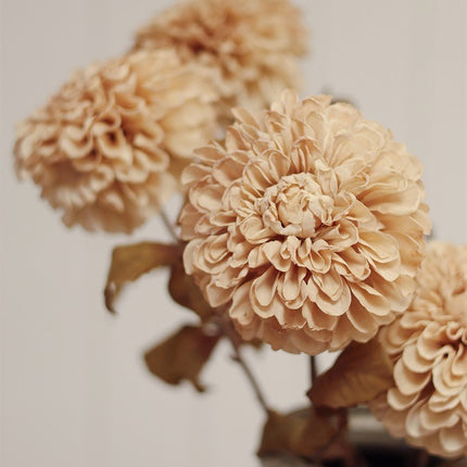 Cream PomPom Dahlia Stem