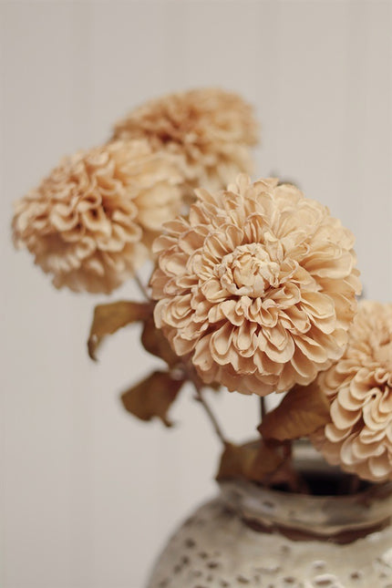 Cream PomPom Dahlia Stem