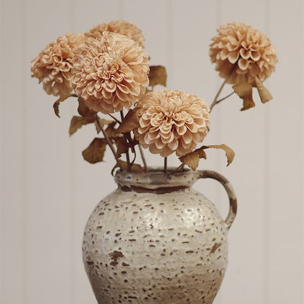 Cream PomPom Dahlia Stem