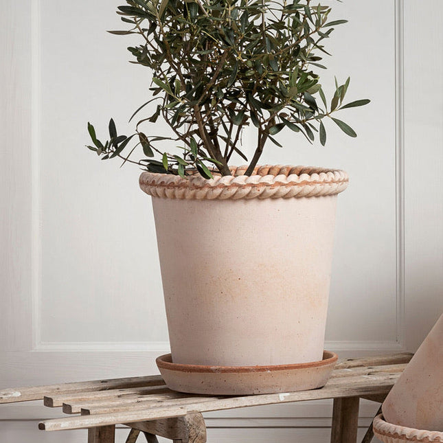 BERGS POTTER Emilia Clay Pots w/Tray