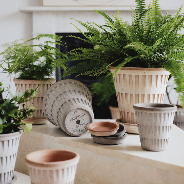 BERGS POTTER Pantheon Clay Pots w/Tray