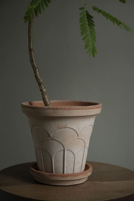 BERGS POTTER Fleur Clay Pots w/Tray
