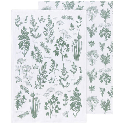 Floursack Dish Towels, Fern & Frond