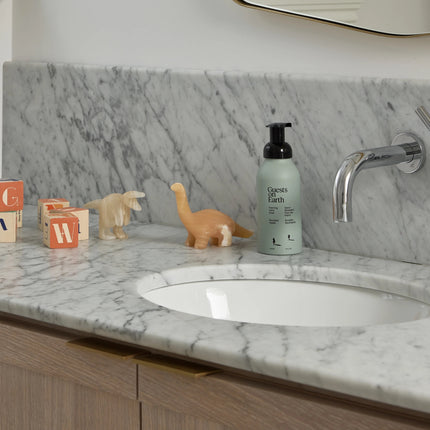 GUESTS ON EARTH Foaming Hand Soap, Citrus Oasis