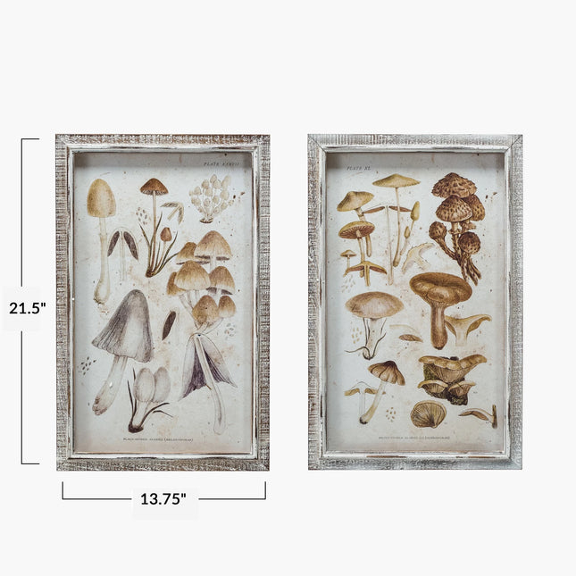 Wood Framed Mushroom Art