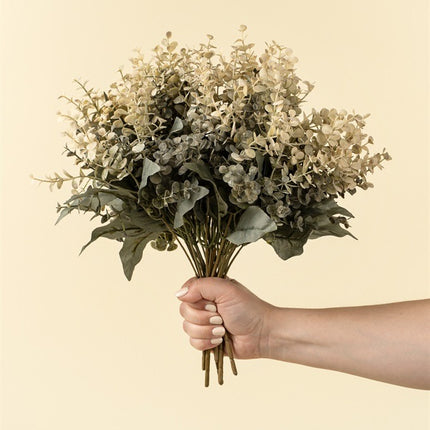 Primrue Eucalyptus Floral Stems