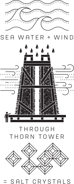 BLACKTHORN Scottish Sea Salt Flakes, 120g.