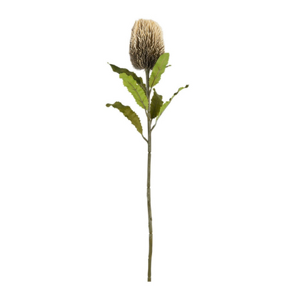 Faux Banksia Stem