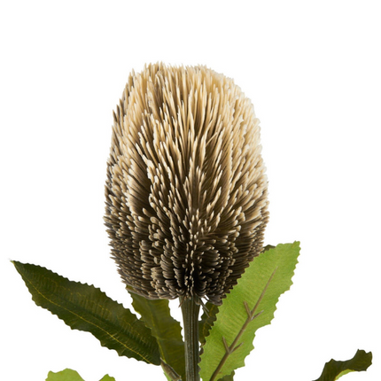 Faux Banksia Stem