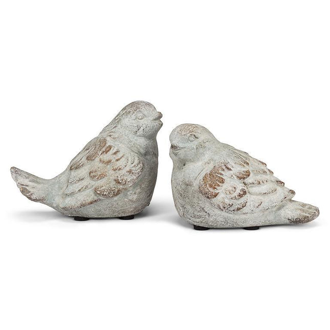 Cement Wren Bird