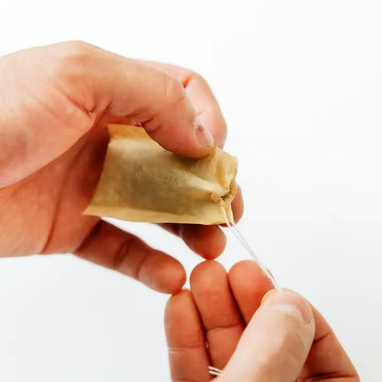 BUSH BERRY Loose Leaf Tea Filter Bags