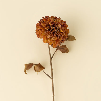 Rusty Brown PomPom Dahlia Stem