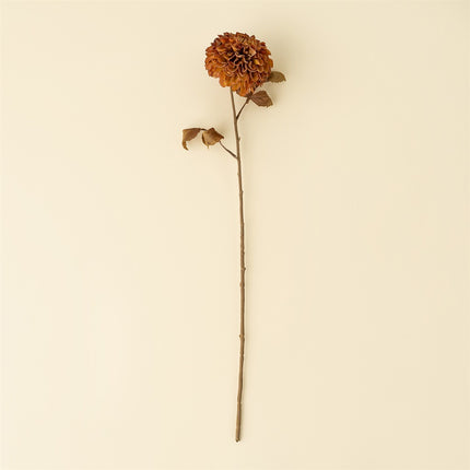 Rusty Brown PomPom Dahlia Stem