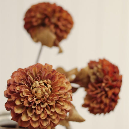 Rusty Brown PomPom Dahlia Stem