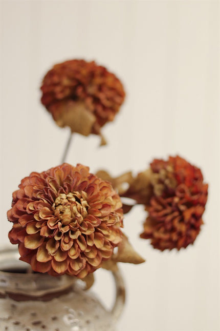 Rusty Brown PomPom Dahlia Stem