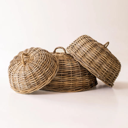 Collection image for: Seasonal