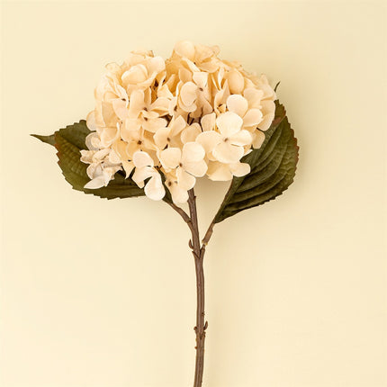 Faux Cream Hydrangea, 18"