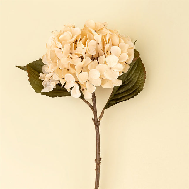 Faux Cream Hydrangea, 18"