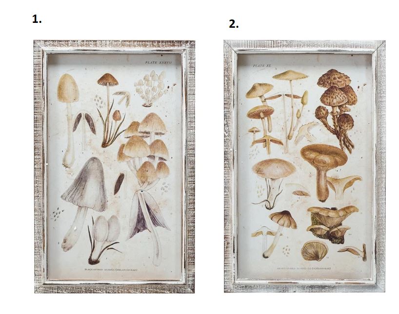 Wood Framed Mushroom Art