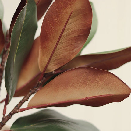 Faux Magnolia Leaves