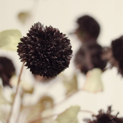Faux Midnight Pom Pom Spray