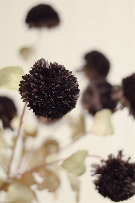 Faux Midnight Pom Pom Spray