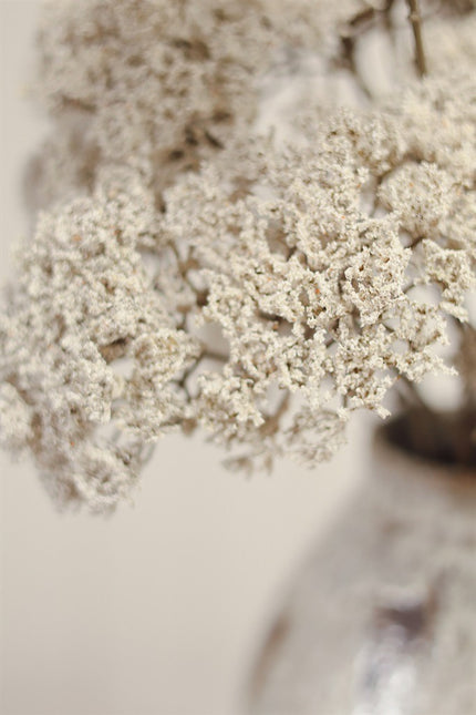 Faux Queen Anne's Lace Stems