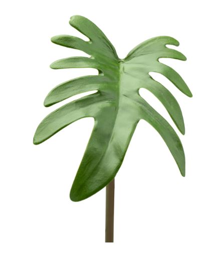 Philodendron Stem, By the Single Stem